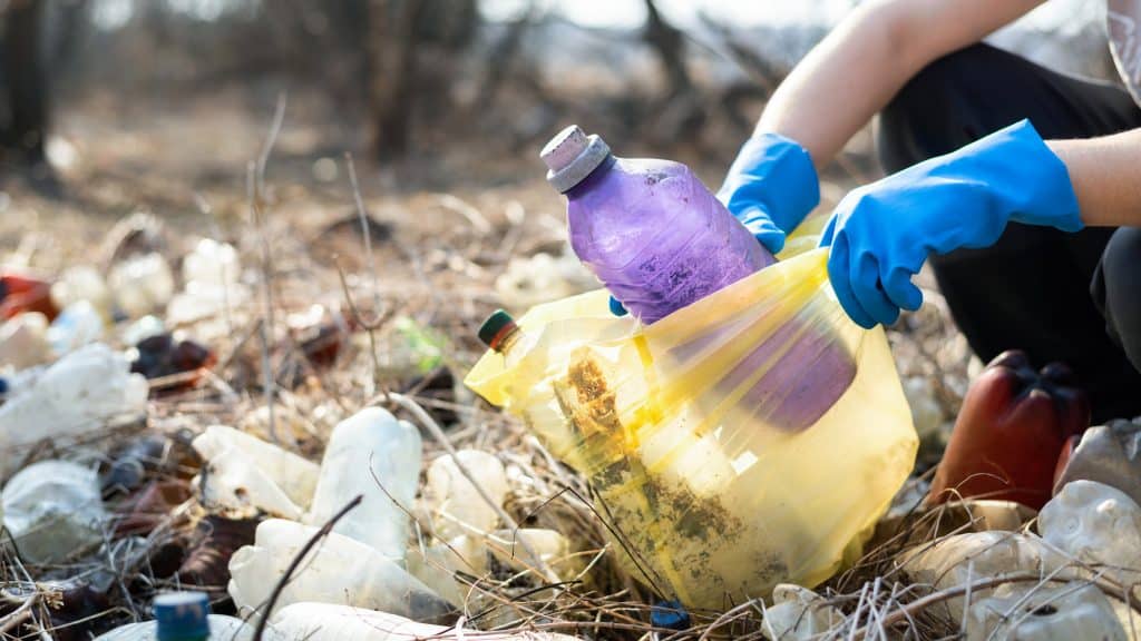 Impacto de la quema de basura en el ambiente y en la salud - Morza ...